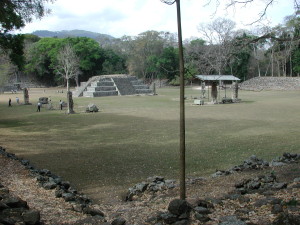 DSCN2399